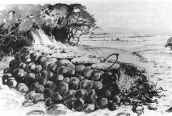 salt camp