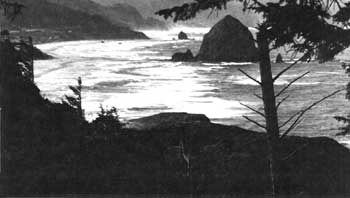Cannon Beach