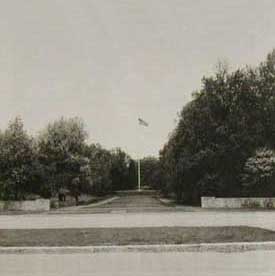 Allee