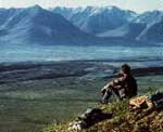 valley in Gates of the Arctic