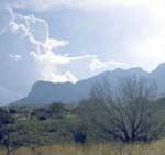 Guadalupe Mountains