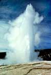 Yellowstone geyser