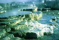 Mammoth Hot Springs of Yellowstone