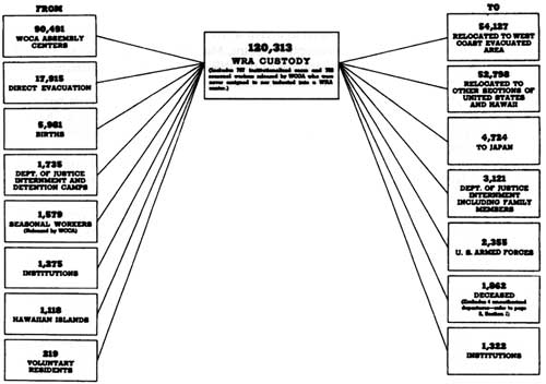 distribution chart