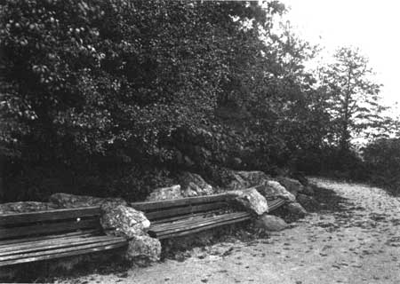 benches