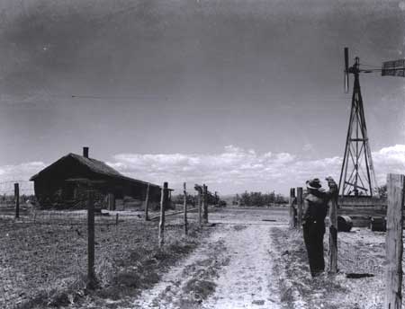 homestead cabinw with windmill