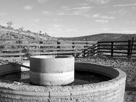 water trough