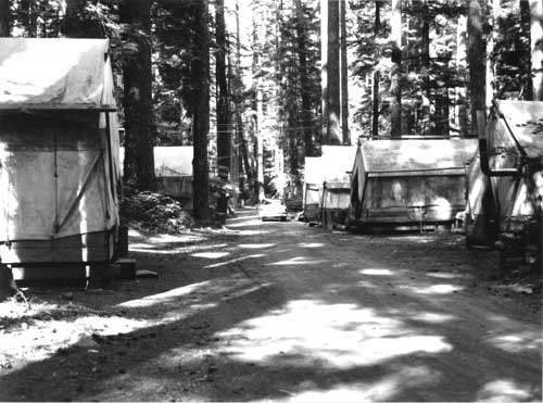Seasonal park employees lived in 'Tent City' at Ohanapecosh