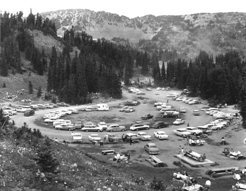 Campground and picnic area at Sunrise, July 1960.