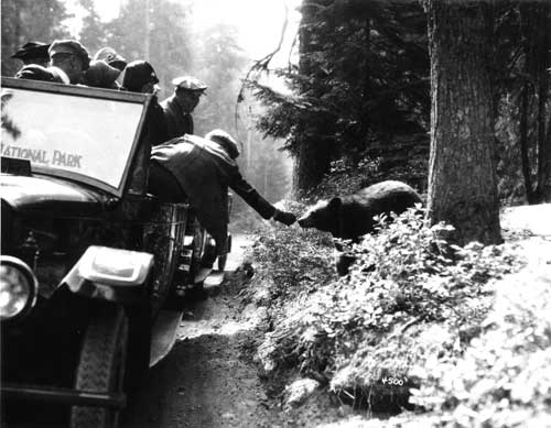 Visitors in a company stage give a bear a handout