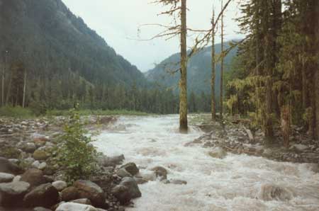 Carbon River