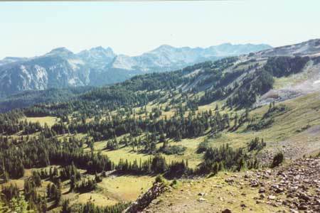 Mist Park Subalpine Meadows