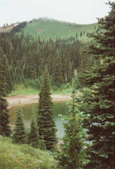 Buck Lake Site