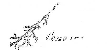Cones