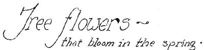 Tree flowers - that bloom in the spring