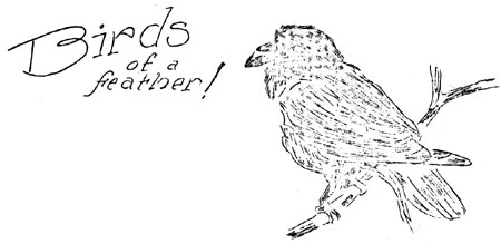 Birds of a Feather!, raven