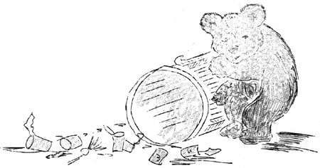 bear and overturned garbage can