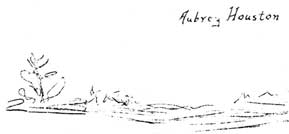 Aubrey Houston, forest floor