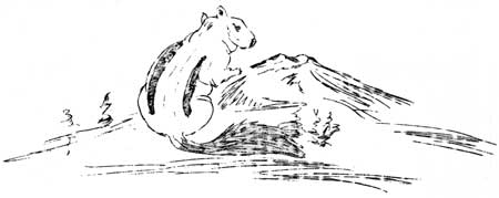 Ground Squirrel