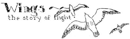 Wings - The Story of Flight