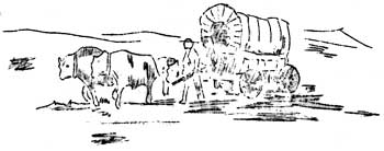 oxen pulling wagon
