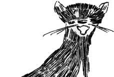 weasel
