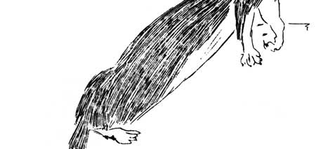 weasel