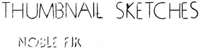 Thumbnail Sketches: Noble Fir