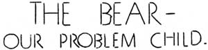 The Bear - Our Problem Child