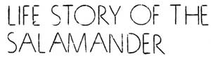 Life Story of the Salamander