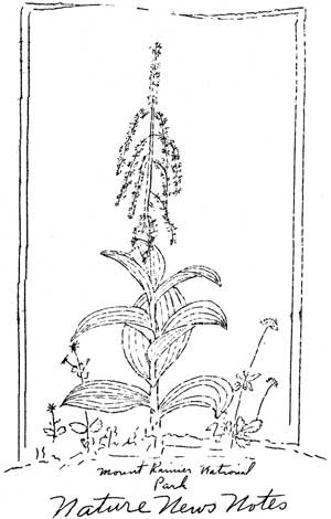 cover to Nature Notes