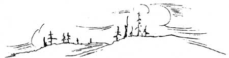 sketch of fire scarred forest