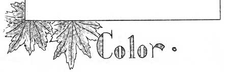 Color