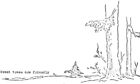sketch of trees