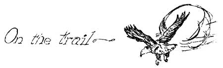 On the trail, eagle in flight