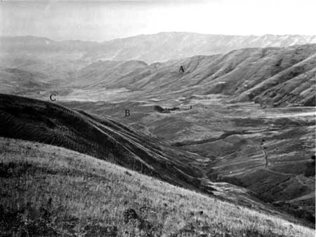 White Bird Canyon