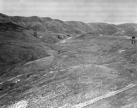 Nez Perce NHP: Forlorn Hope (Illustrations)