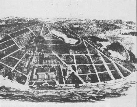 drawing of Sea Grove