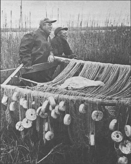 fisherman drying nets