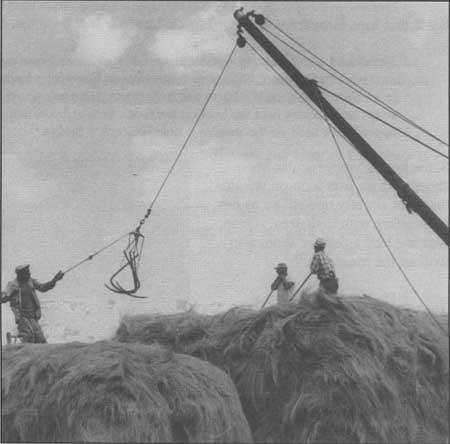 unloading hay