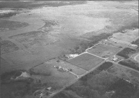 aerial view of marshland