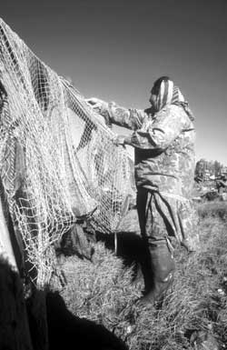 drying fish nets