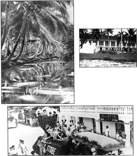 palm trees, barracks, residents