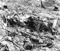 dead Japanese soldier