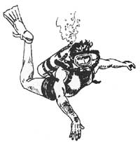 diver