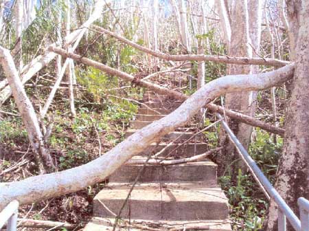 supertyphoon storm damage