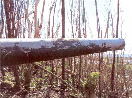 supertyphoon storm damage