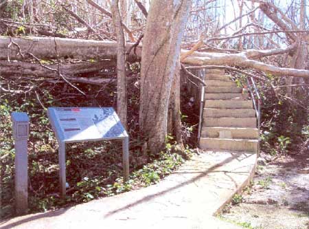 supertyphoon storm damage