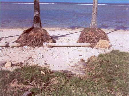 supertyphoon storm damage