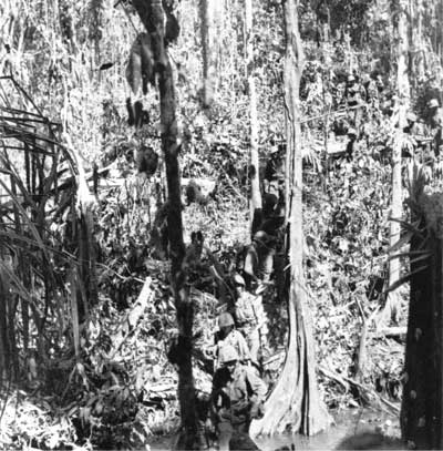 Marines in forest